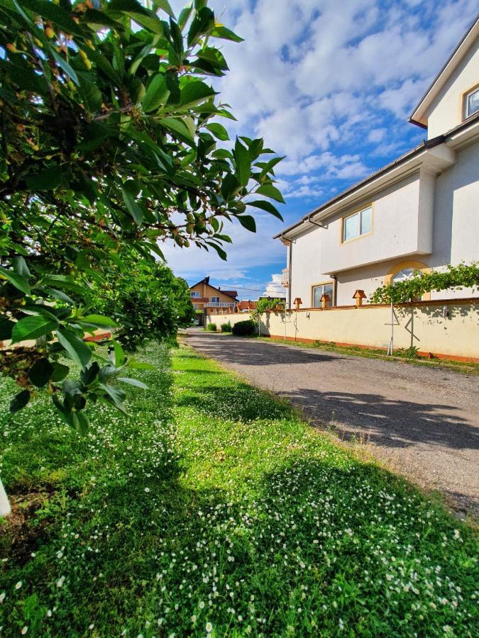 Motel Zoka Dvorovi Екстер'єр фото