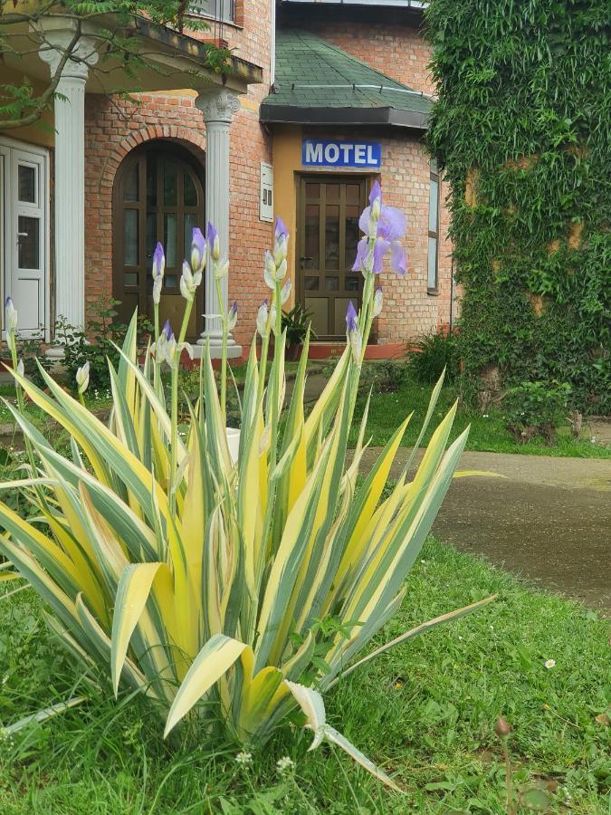 Motel Zoka Dvorovi Екстер'єр фото